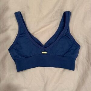 L*Space Deep Blue Sports Bra